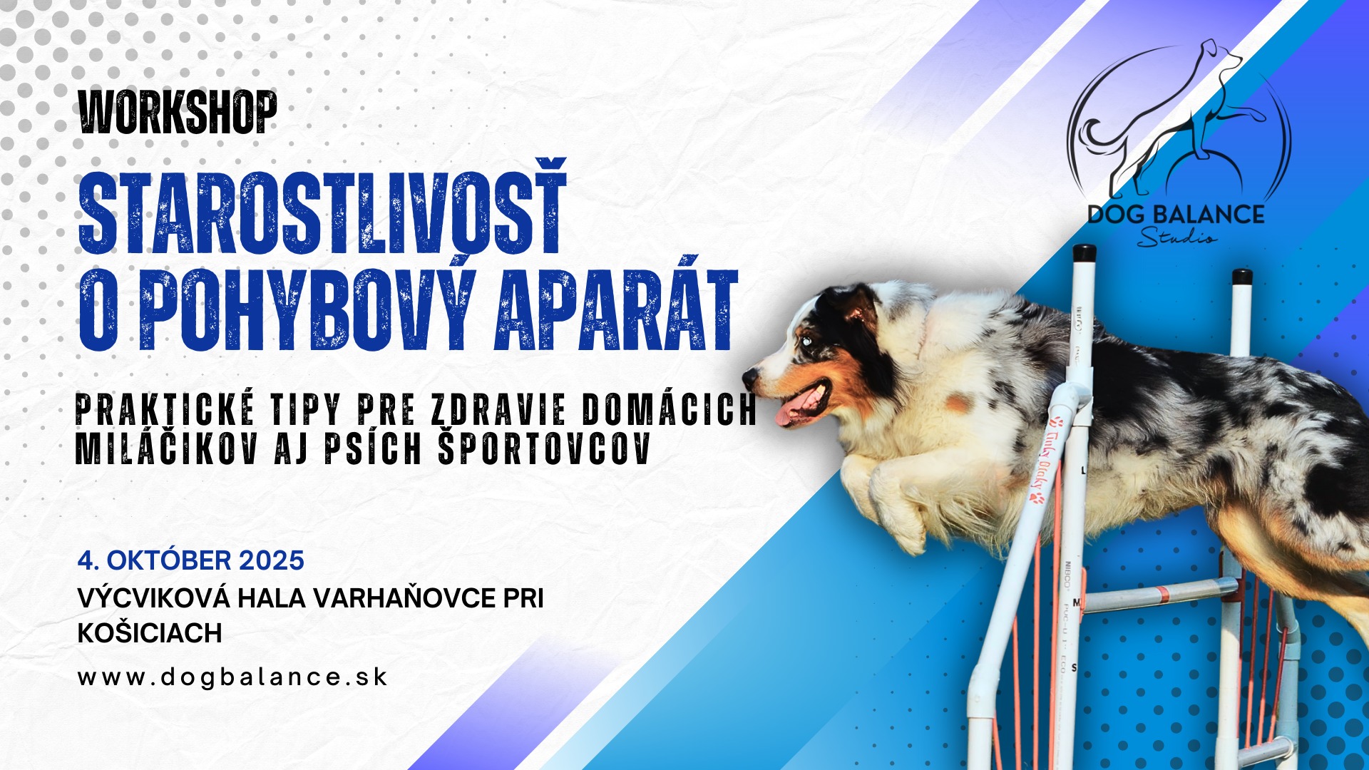 Workshop - Starostlivosť  o pohybový aparát