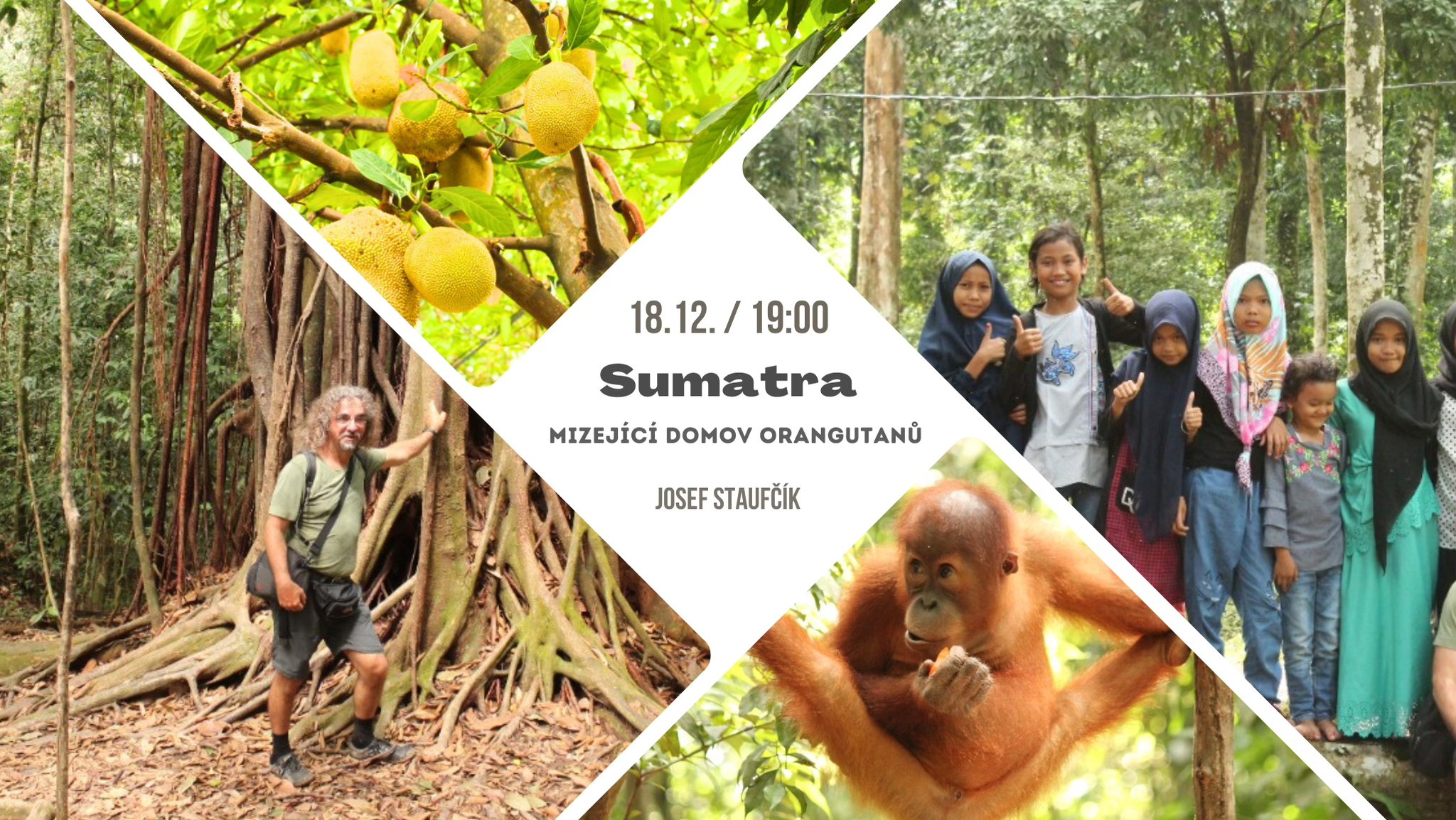 Sumatra - neopakovatelná příroda, mizející domov orangutanů