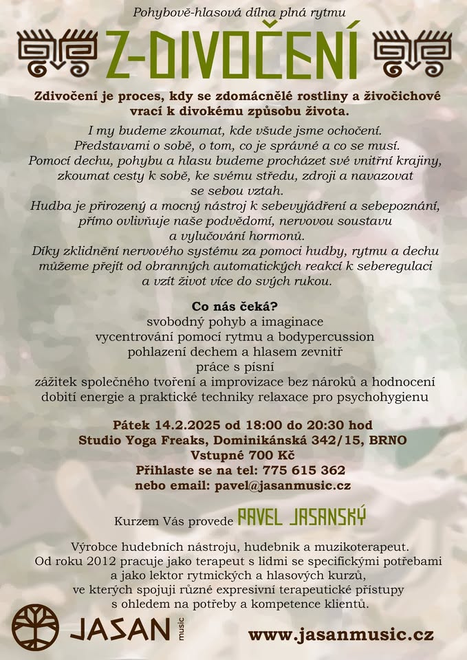Z-Divočení