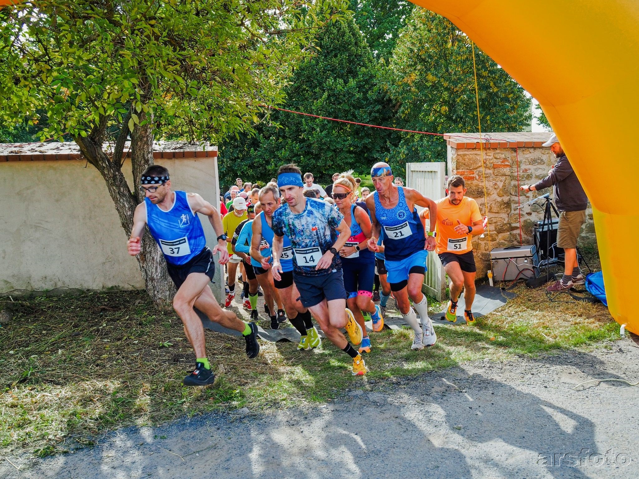 "Náhradní" Miranovy duby 2024