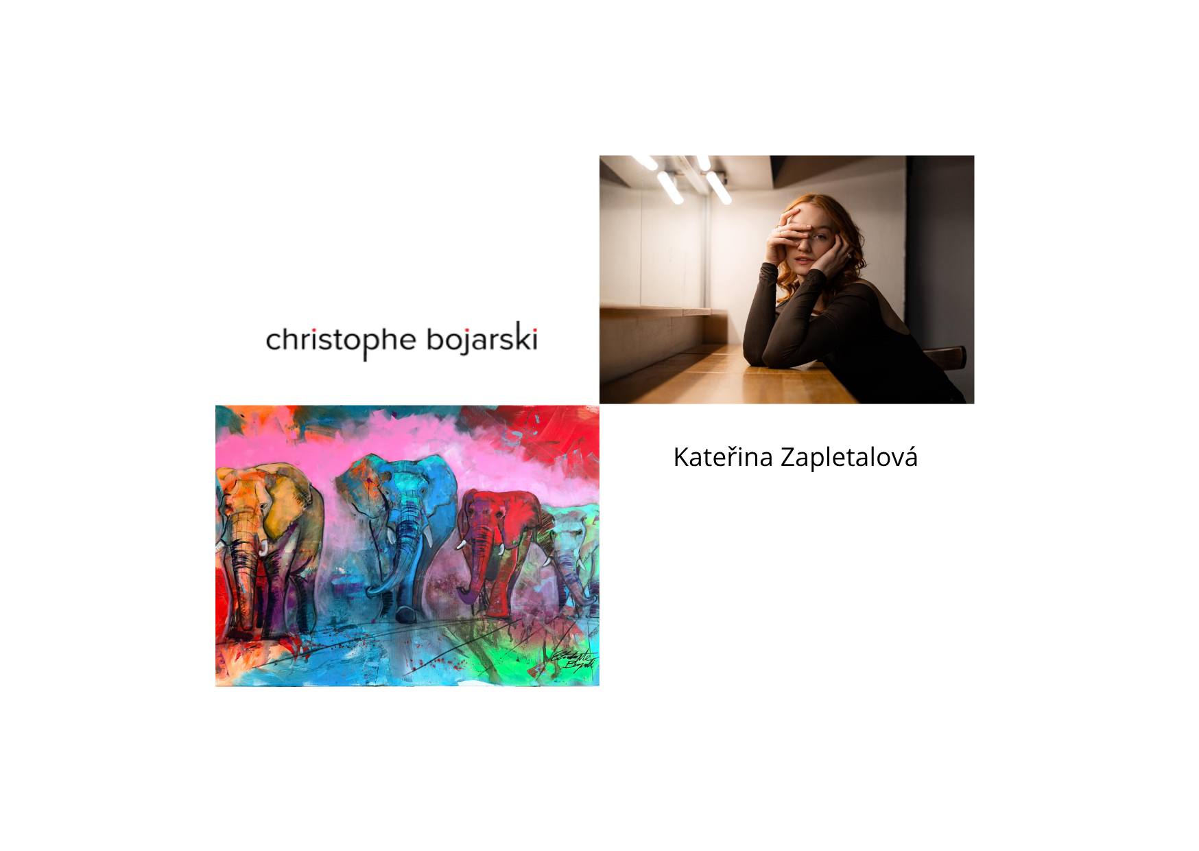 Vernisáž obrazů Christopha Bojarski a performance herečky Kateřiny Zapletalové