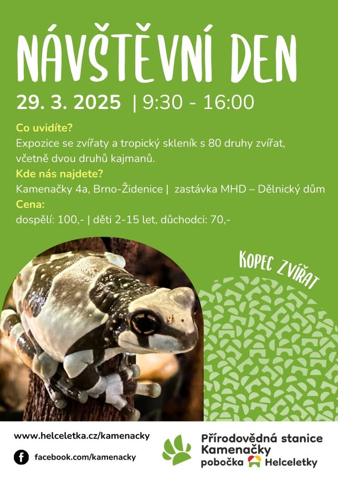 Návštěvní den