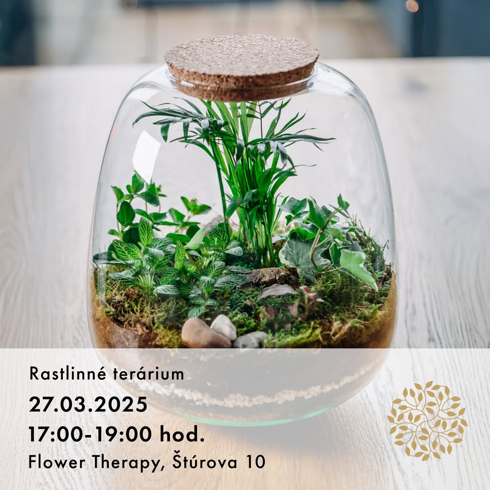 Rastlinné terárium - 27.3.2025