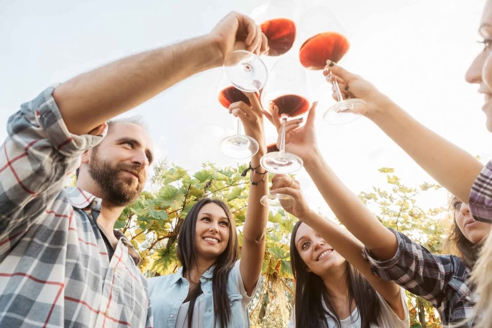 Aperitif with five italian wines to make new friends