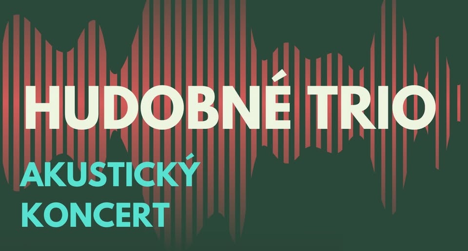 HUDOBNÉ TRIO | Akustický koncert