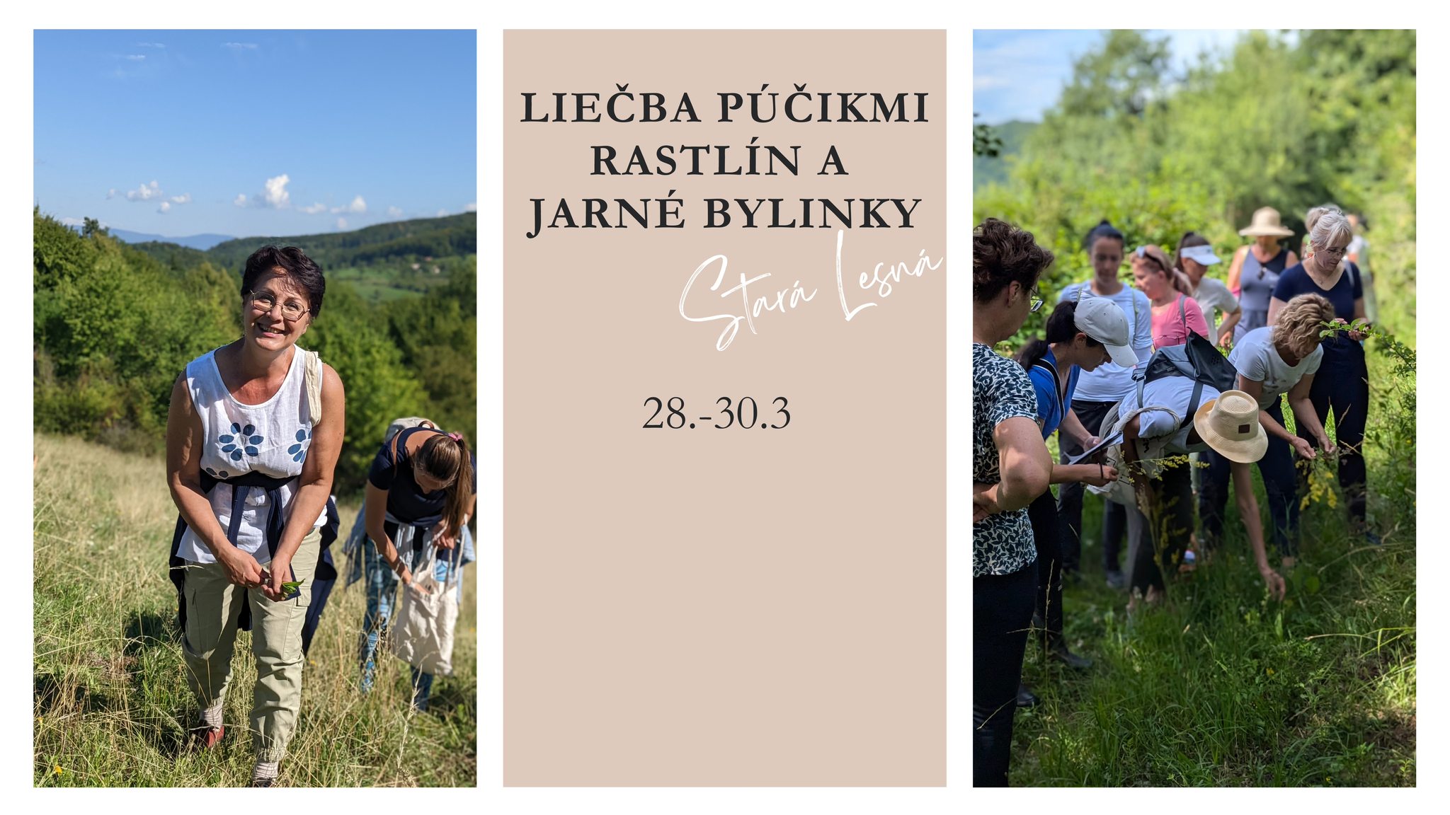 Liečba púčikmi rastlín a jarné bylinky: kurz v prírode