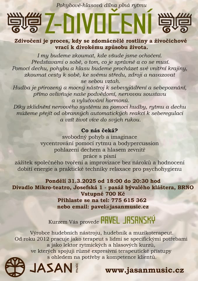 Z-Divočení