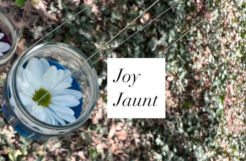 Joy Jaunt: Connect with Nature, Just Be, Wander on Purpose