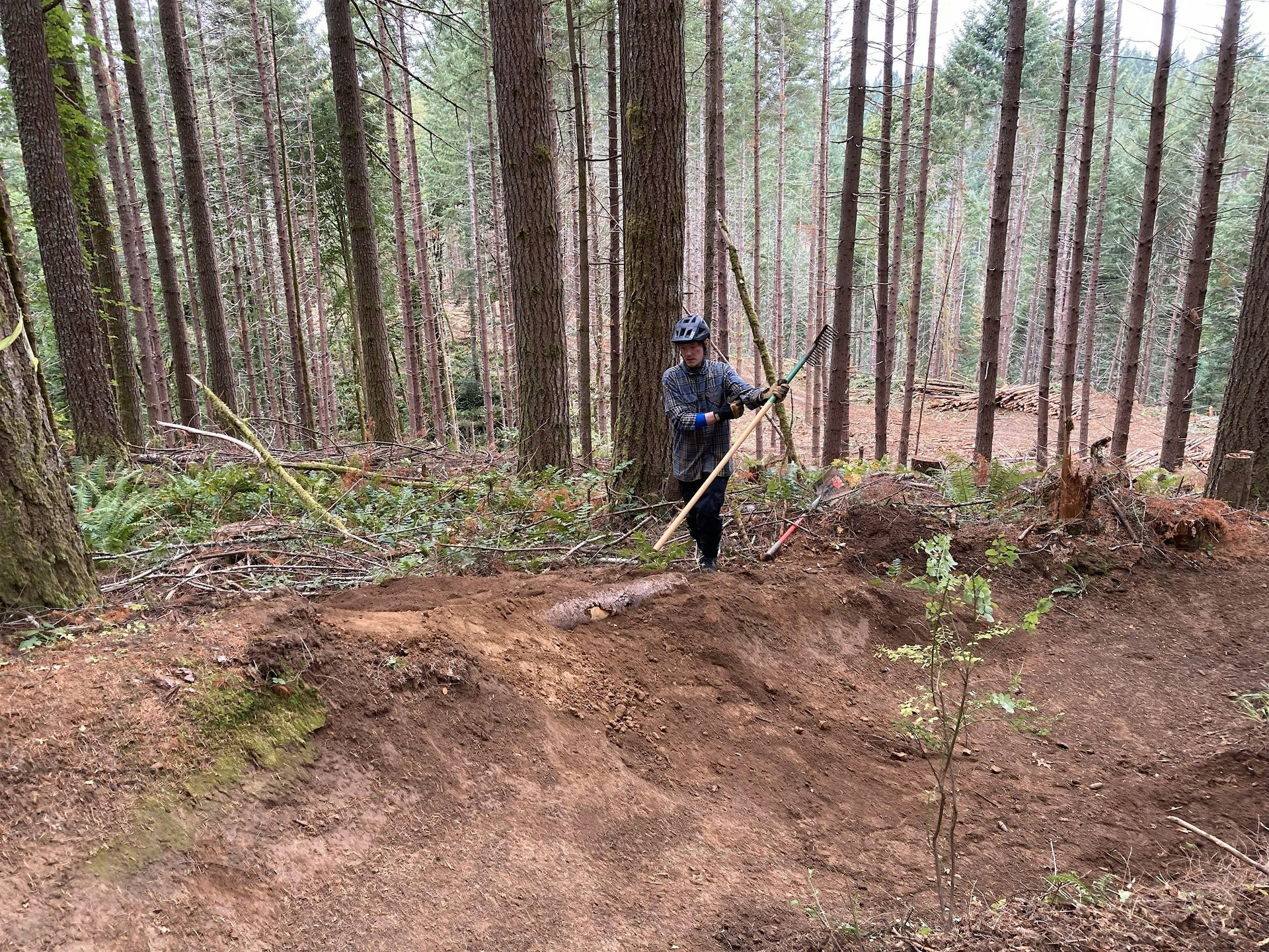 Stub Trail Restoration Day: 03/28