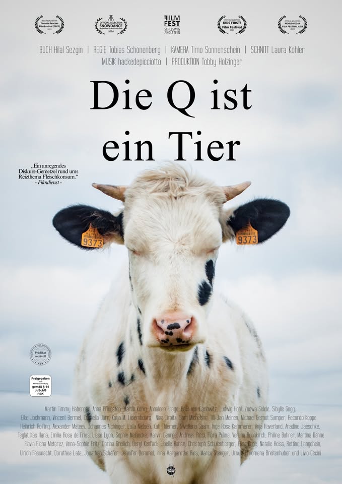 Wohnzimmer Kino und Vegane Burgers