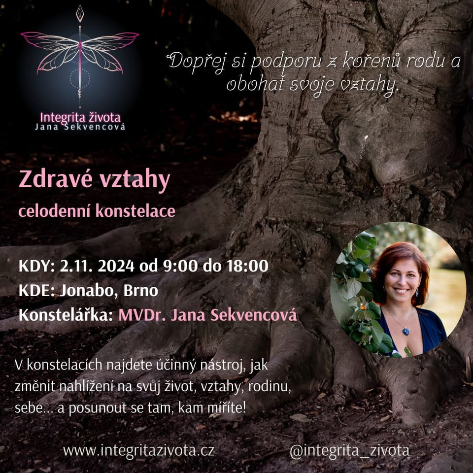 Zdravé vztahy (celodenní konstelace)