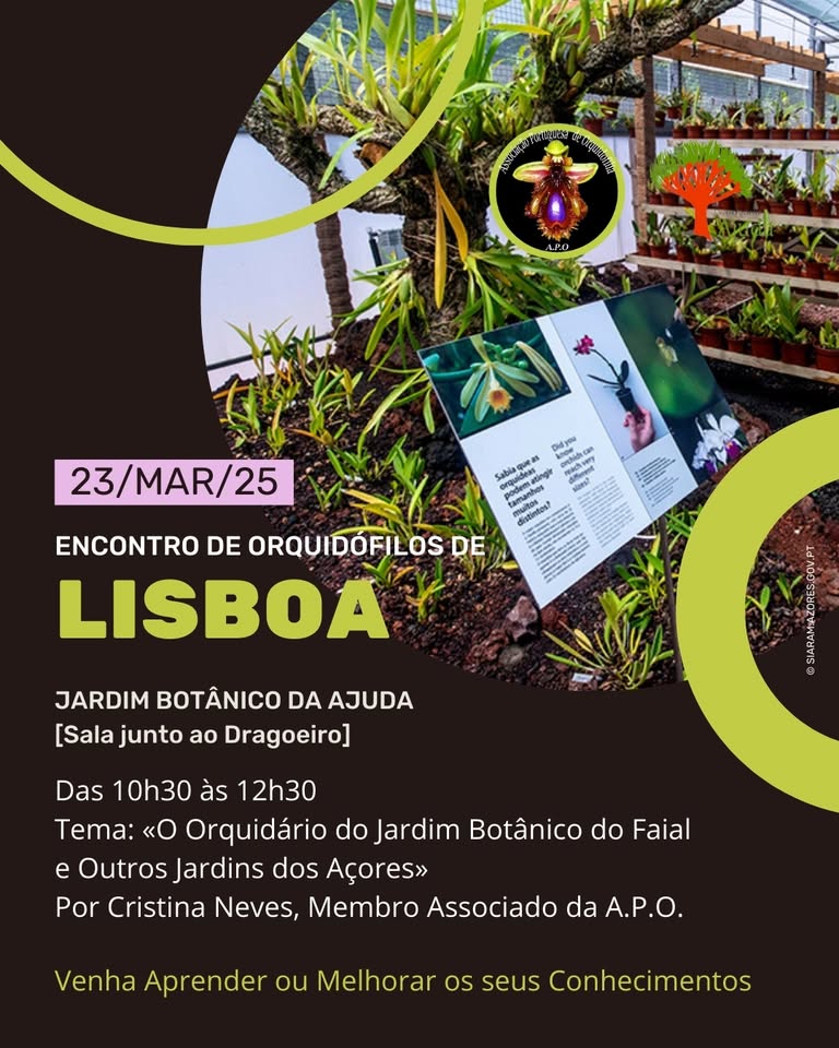 Encontro de Orquidófilos de Lisboa