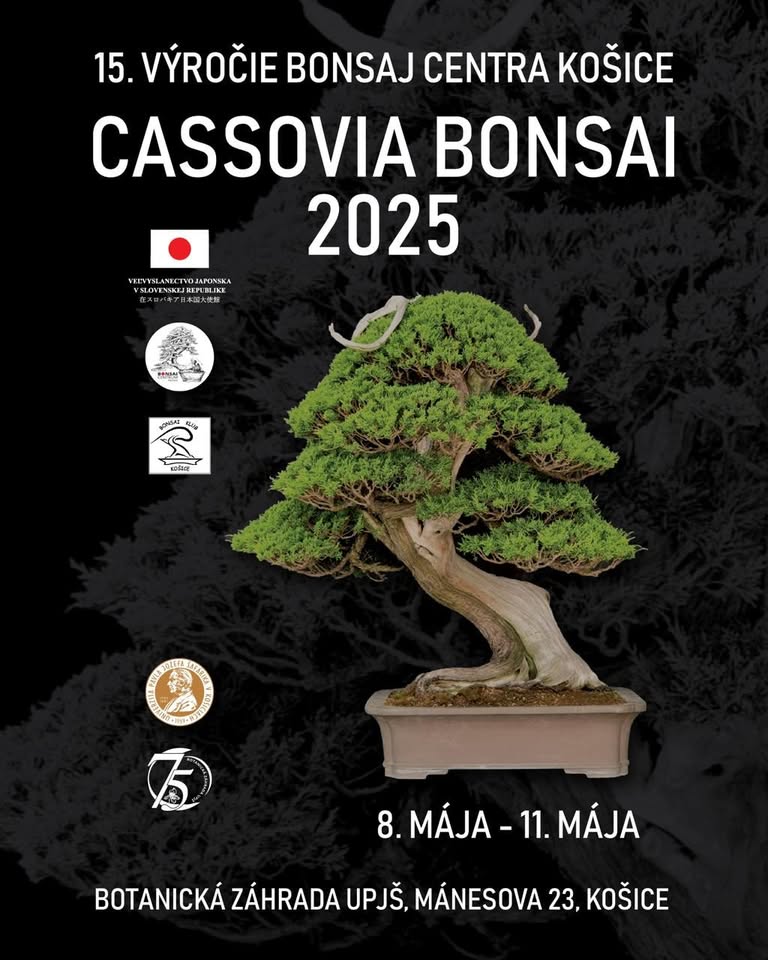 Cassovia Bonsai 2025