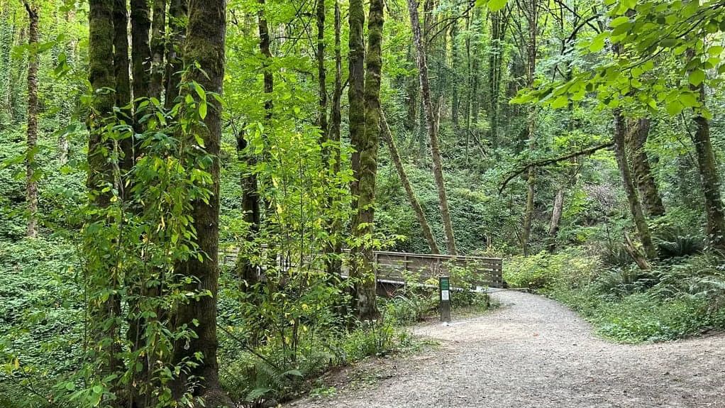 Joint Venture: Hiking the Marquam Trail