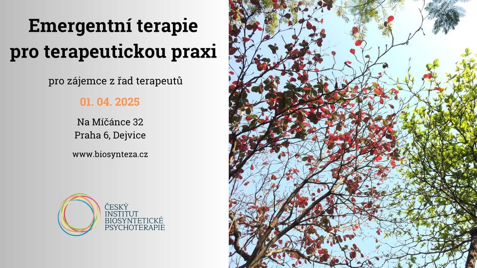 EMERGENTNÍ TERAPIE PRO TERAPEUTICKOU PRAXI