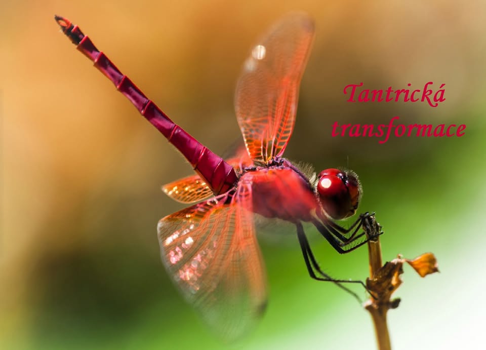 Tantrická transformace – ochutnávka (PTVD.1)