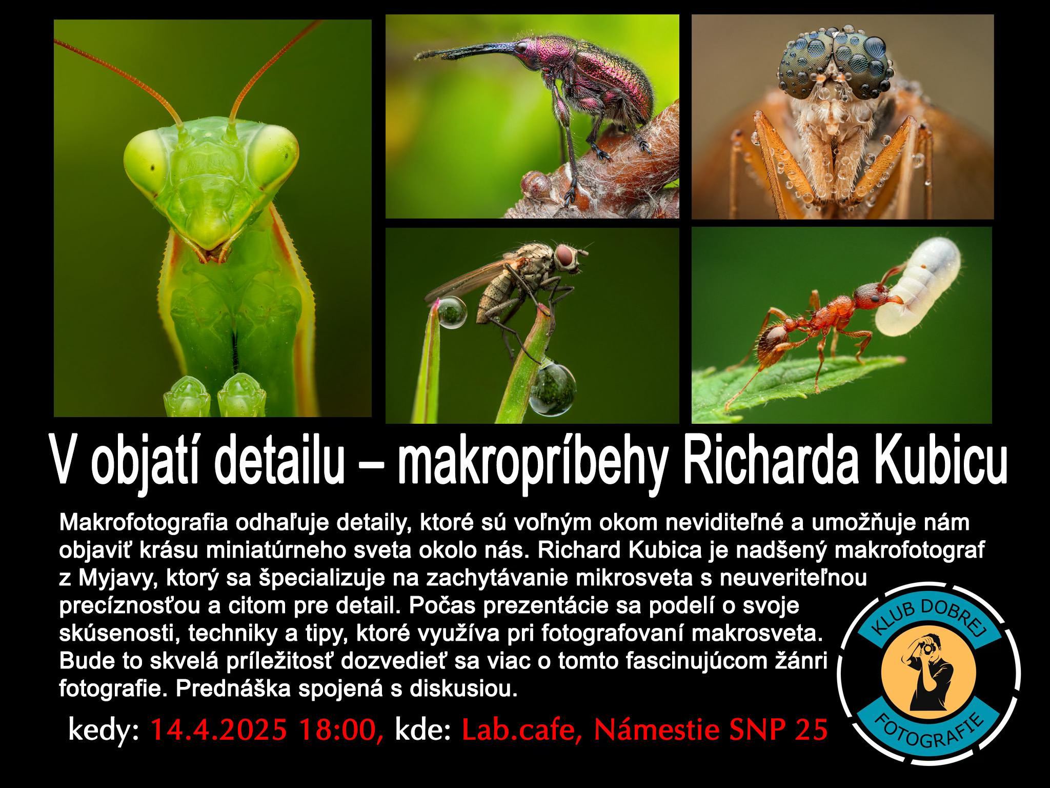 📸 Fascinujúci svet makrofotografie s Richardom Kubicom