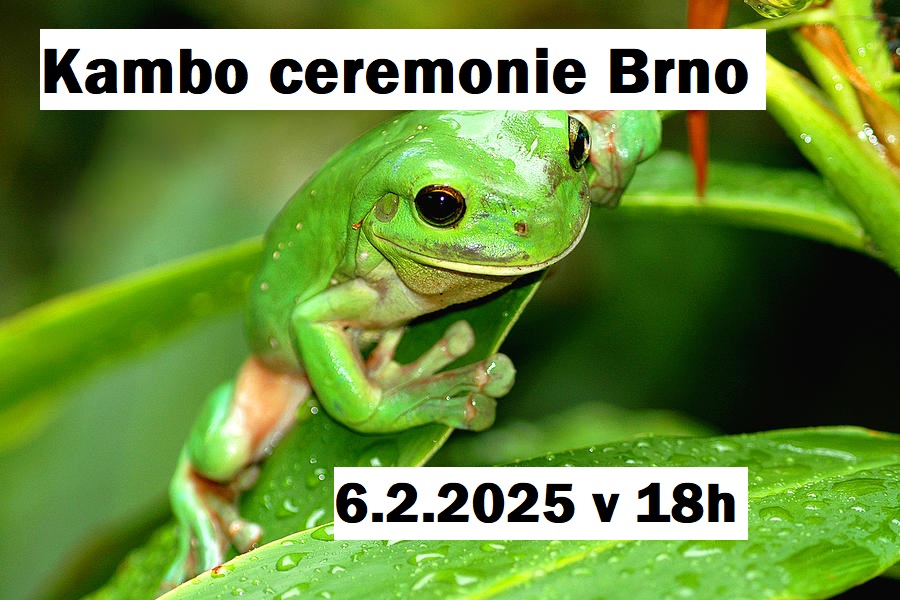 Kambo ceremonie Brno