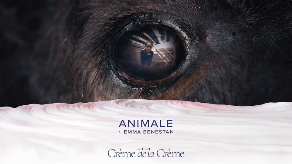 Crème de la Crème :: Animale