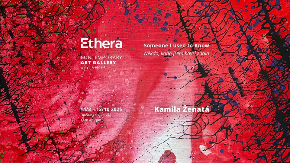 Someone I Used to Know - Kamila Ženatá