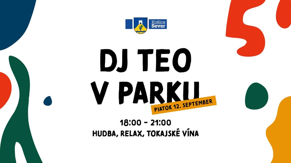 DJ TE in the park