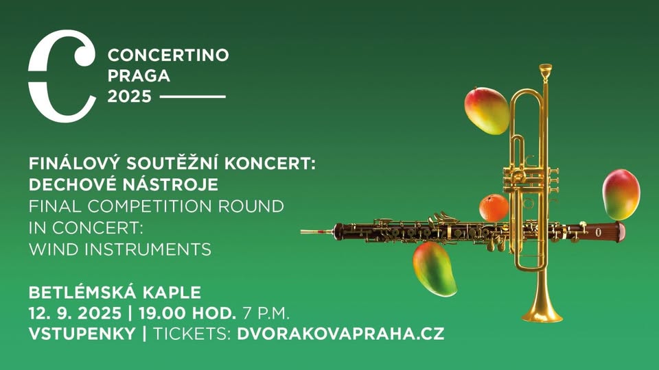 Final Round - Wind Instruments Category