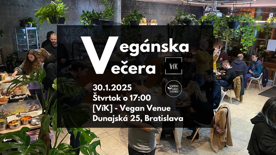 Vegánska večera vo Víku