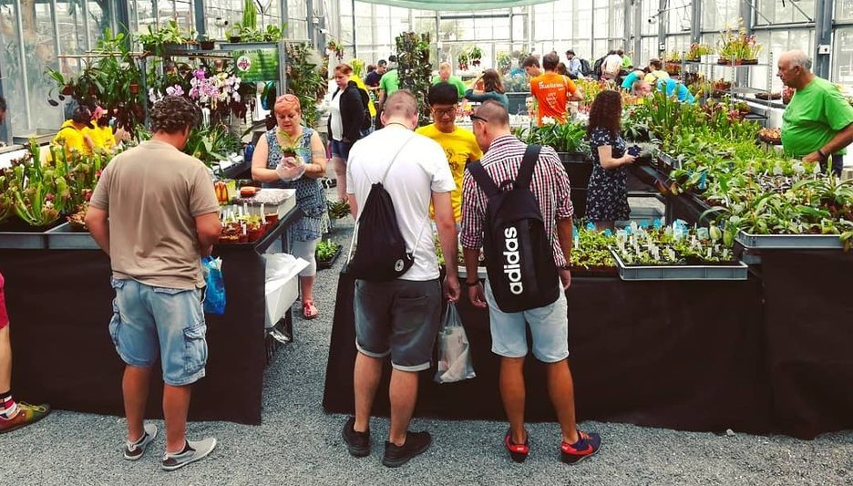 Na Fauna Hobby Brno TERRA KORUNA prodej orchideje, masožravé a džungle rostliny