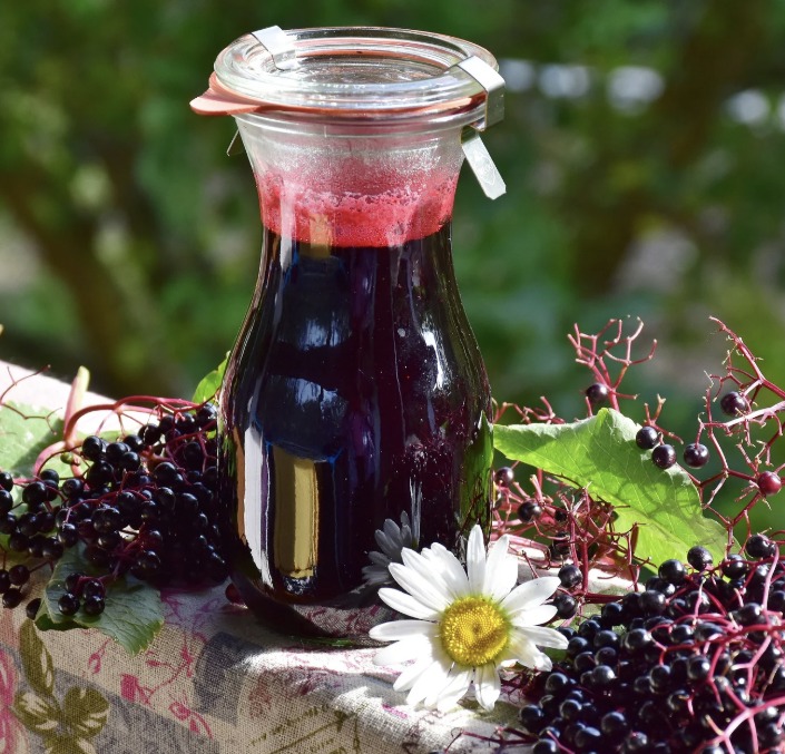 Workshop Vlierbessensap & inkt