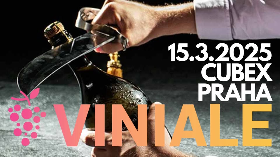 VINIALE - prodejní a degustační výstava vín pro širokou veřejnost