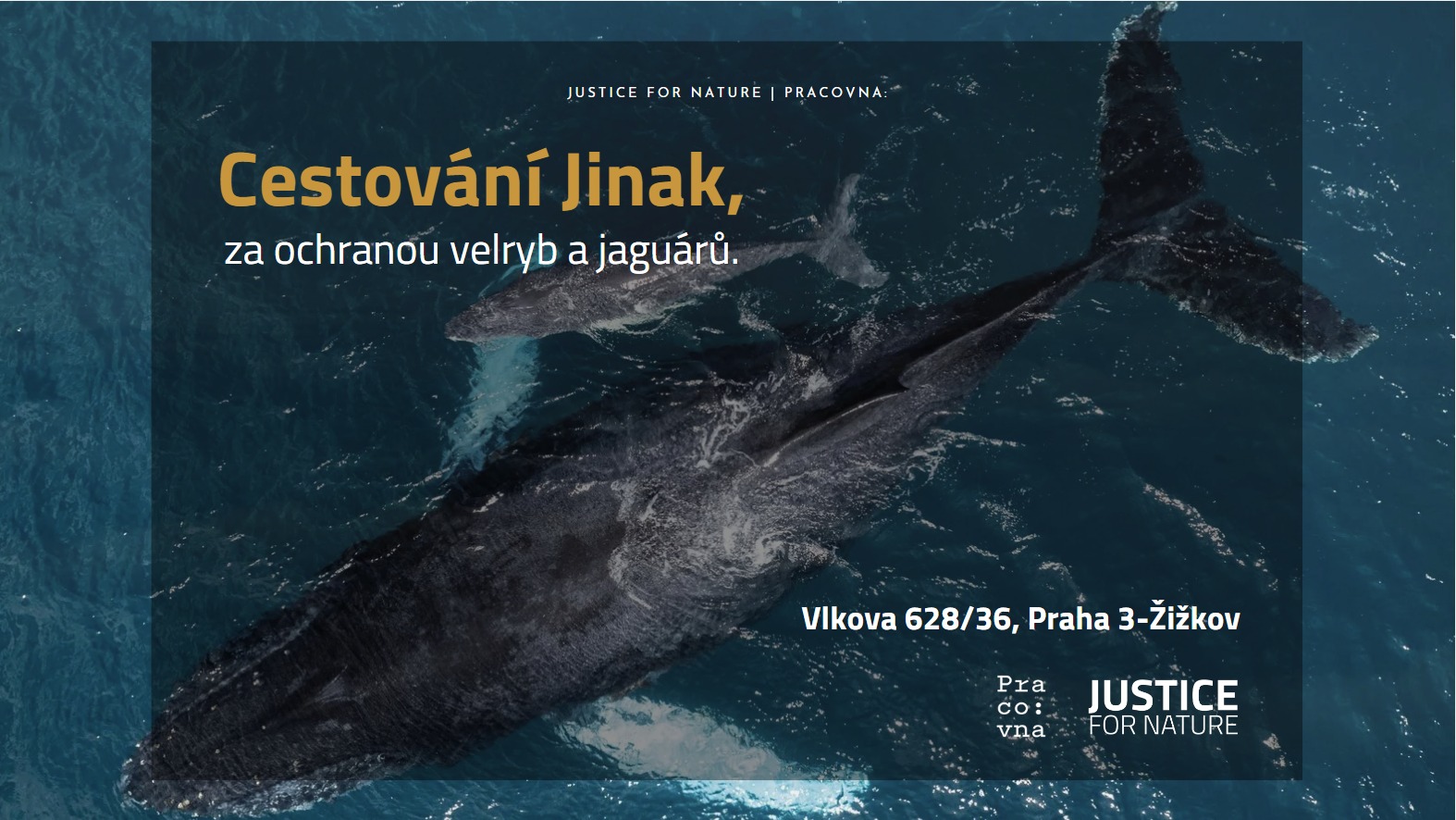 Cestování jinak, aneb k ochraně divočiny