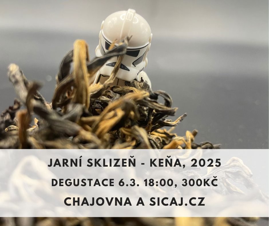 Degustace čerstvé sklizně z Keni