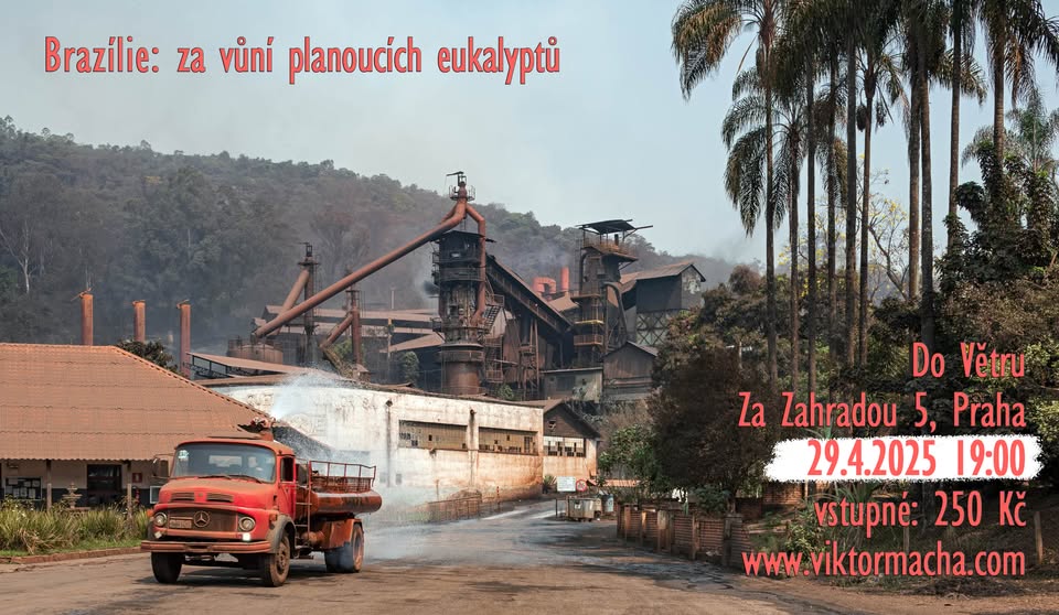 Brazílie - za vůní planoucích eukalyptů