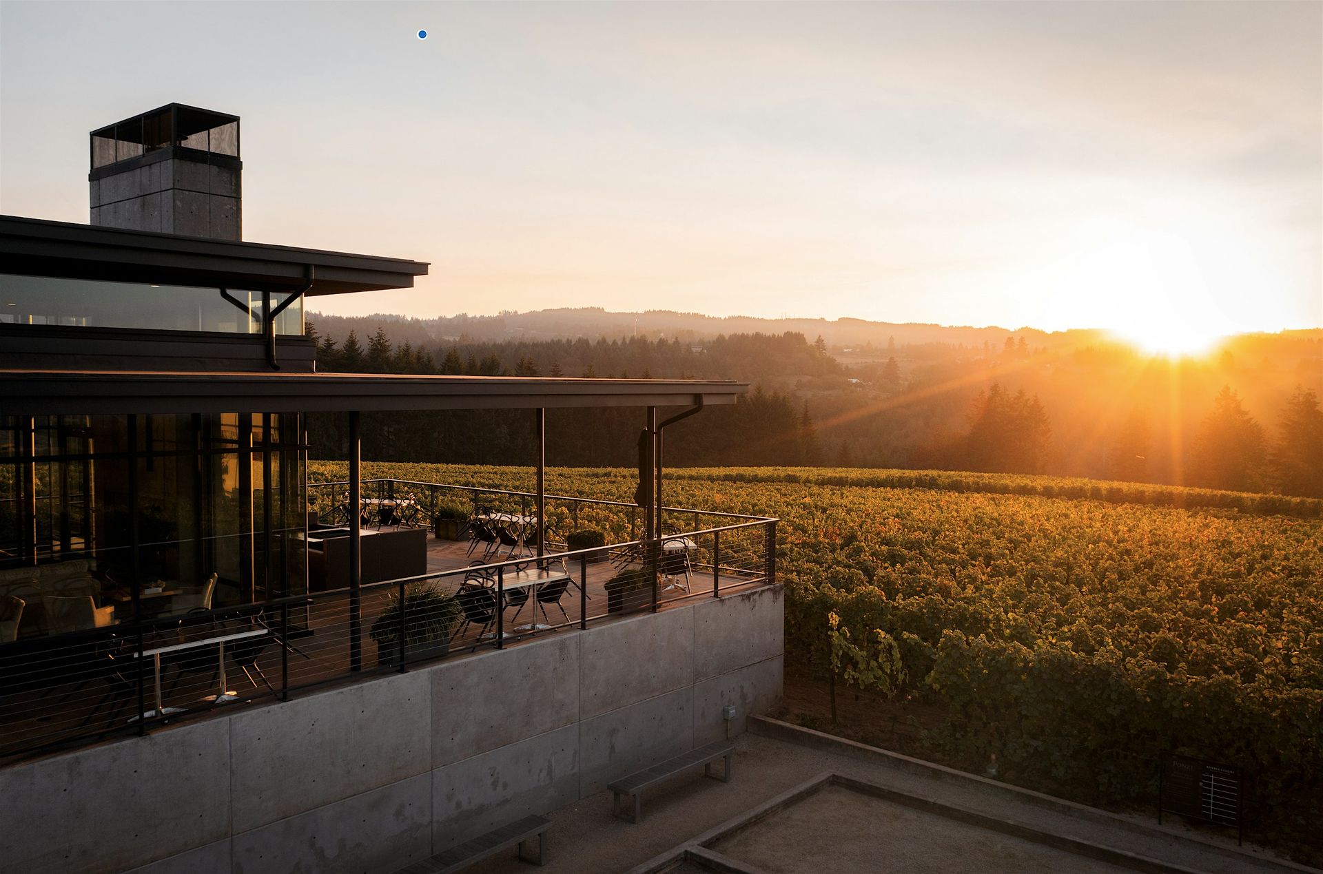 Tunes & Terroir