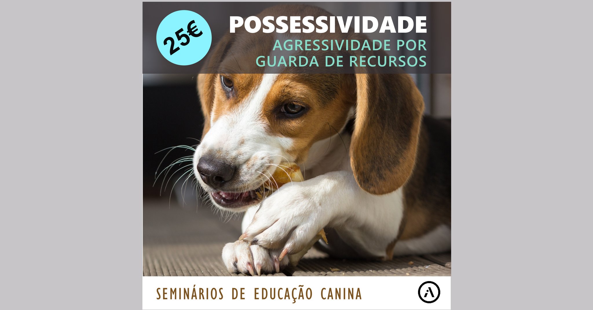Cães Possessivos (Guarda de Recursos)