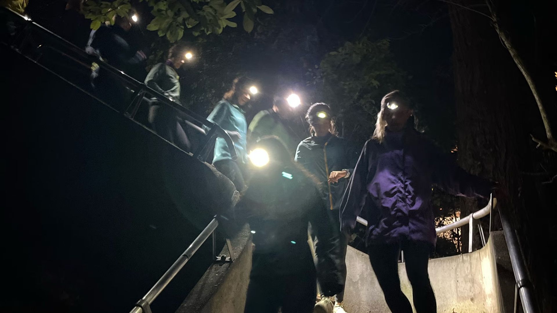 Xmas🎄Lights on NE Alameda STAIRS! (Paved run in NE PDX)