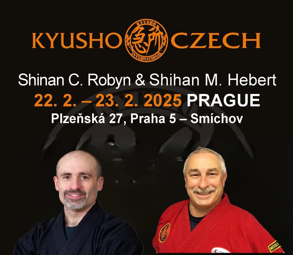 Mezinárodní seminář Kyusho