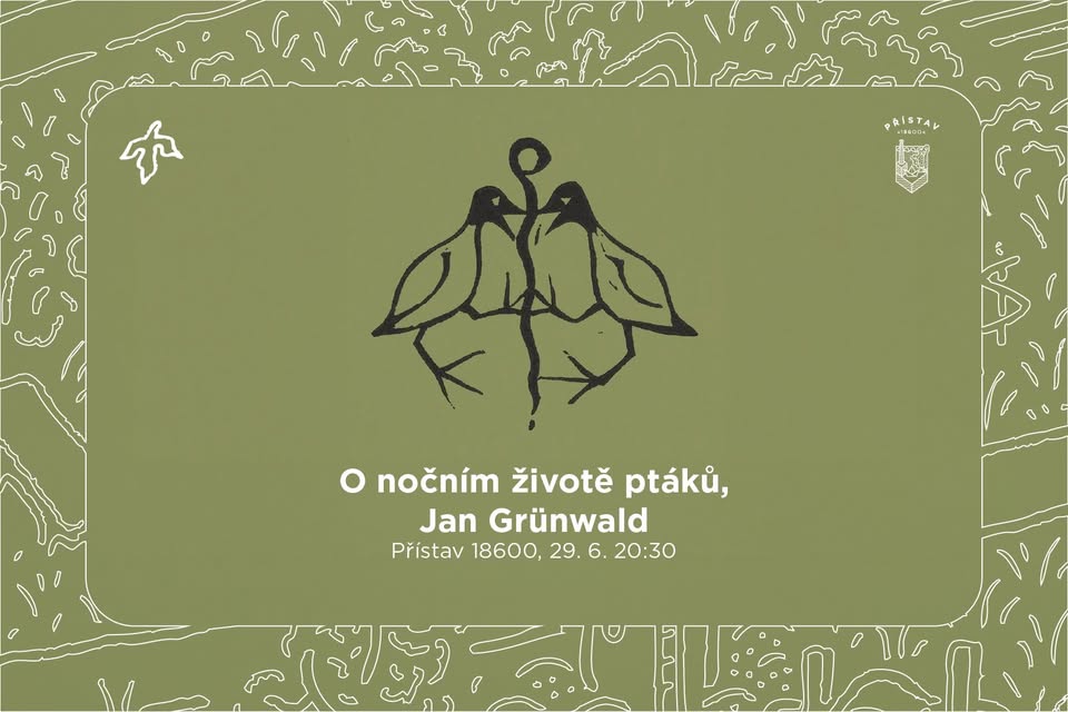 NOVÝ TERMÍN! O nočním životě ptáků s Janem Grünwaldem