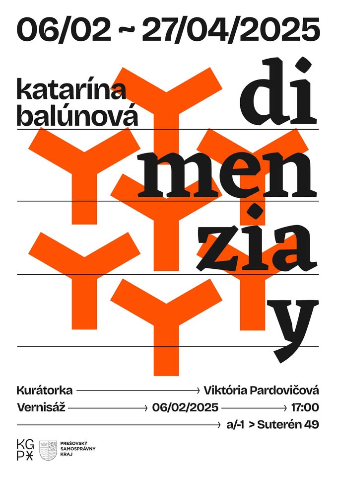 Dimenzia Y