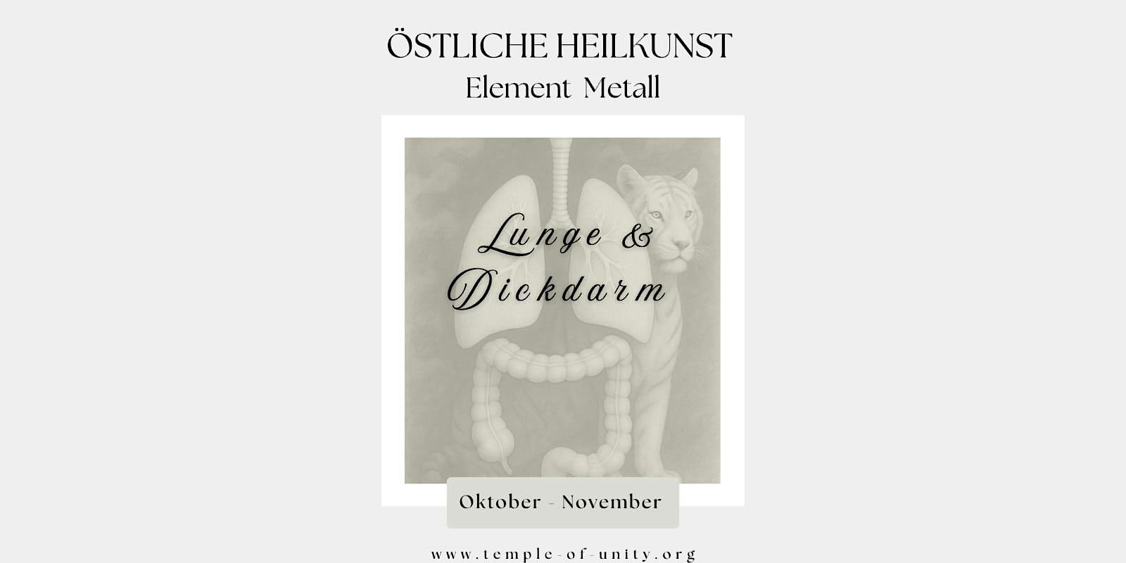 Östliche Heilkunst Workshop - Element Metall - Lunge & Dickdarm