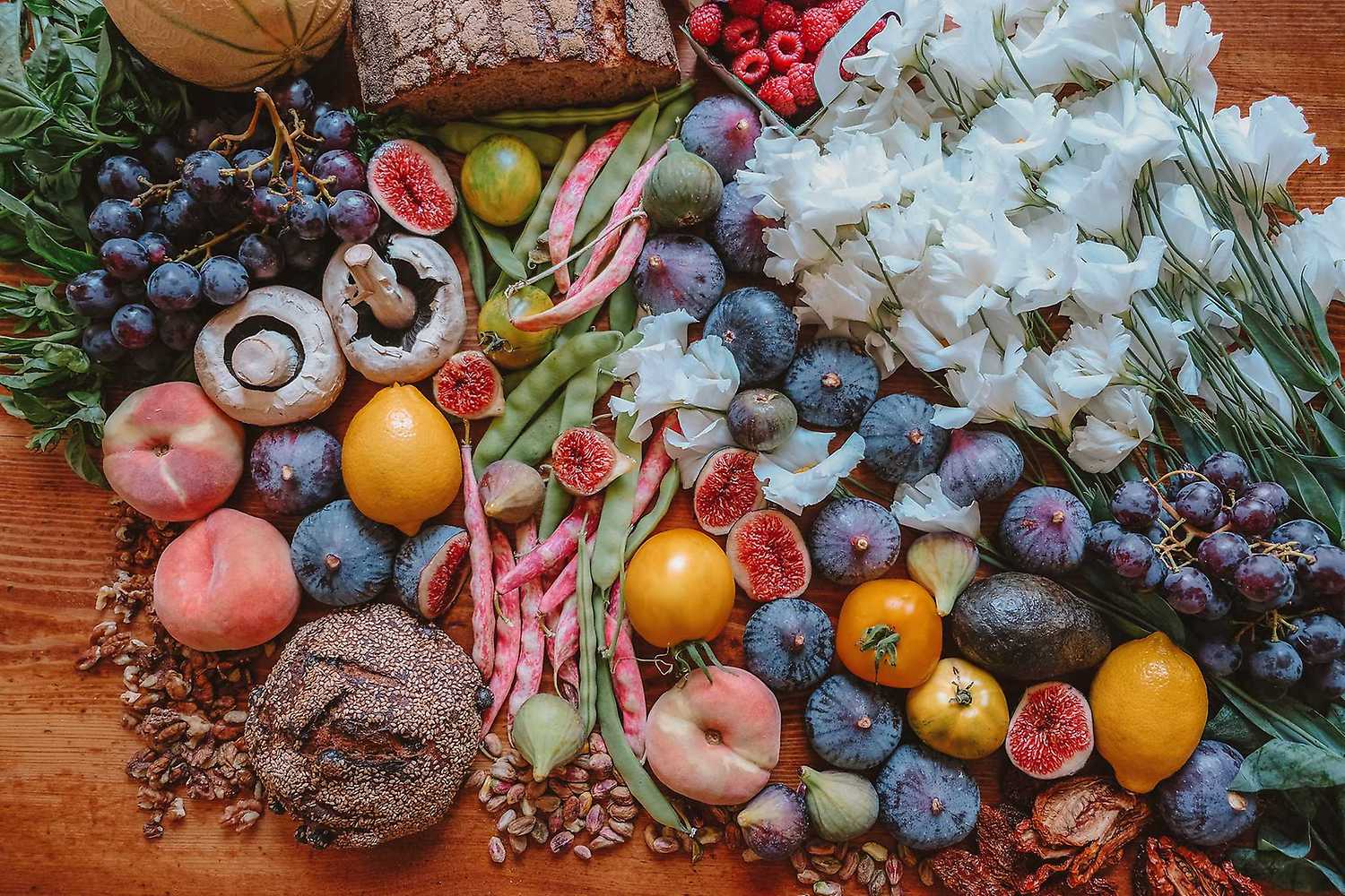 Plant-Powered Perspectives Slovakia & Czechia 2024