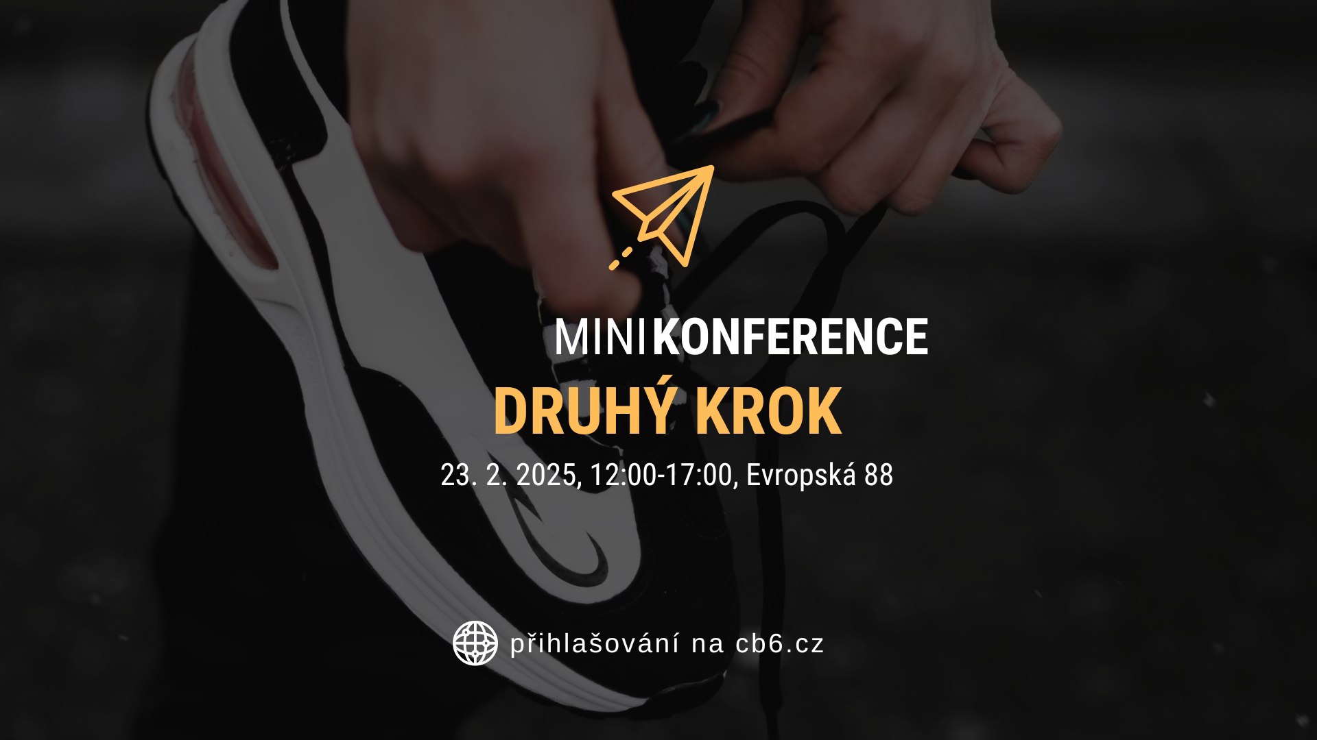 Mini konference