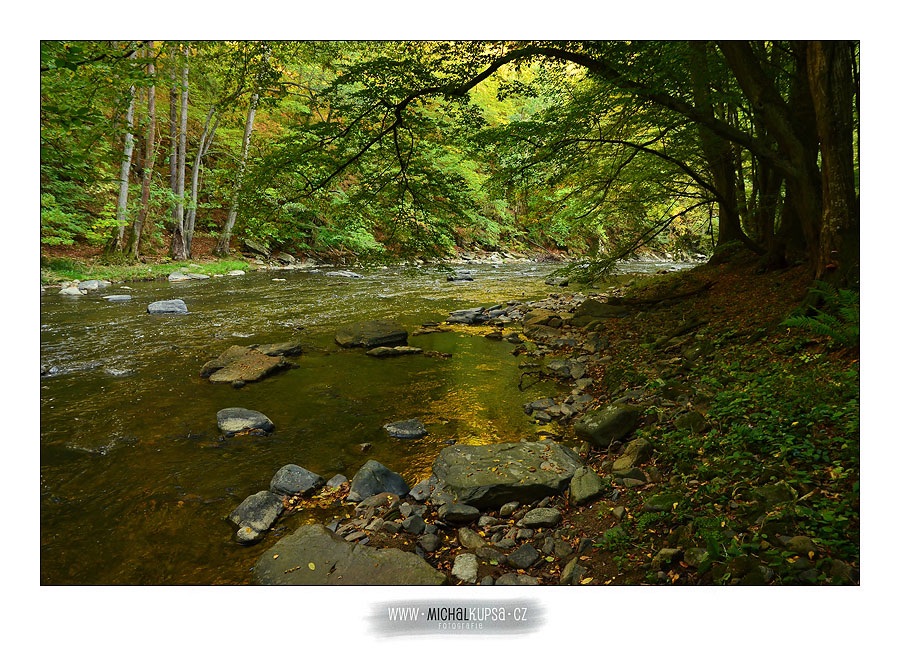 Full-Day Hike with Bonfire in the Valley of the Oslava River - Tramp territory
