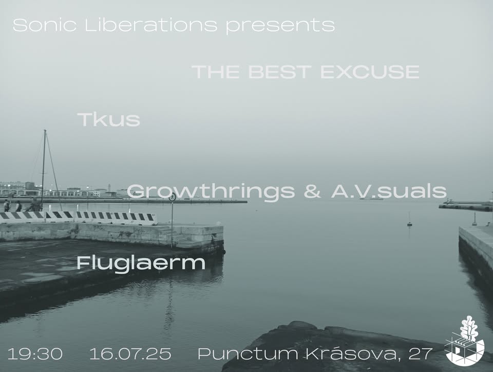 Sonic Liberations & BRUITAL TOURING BOX #IV: THE BEST EXCUSE, Tkus, Growthrings/A.V.suals, Fluglaerm