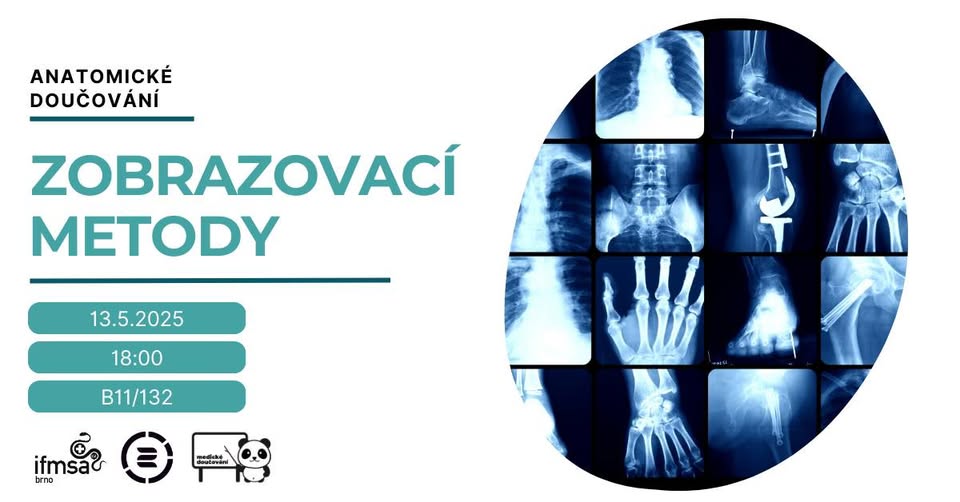 Anatomické doučování - Zobrazovací metody