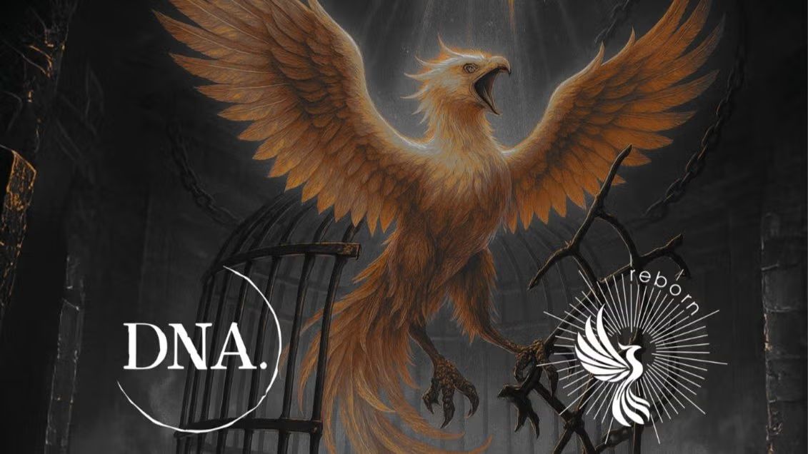 REBORN RAVE: PHOENIX