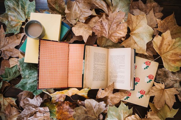 International Book Club 76th Meeting