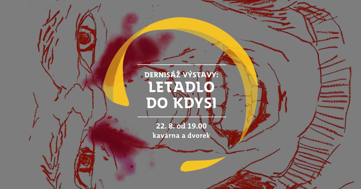 Dernisáž výstavy Letadlo do kdysi: DJ podvrat & Anamanax