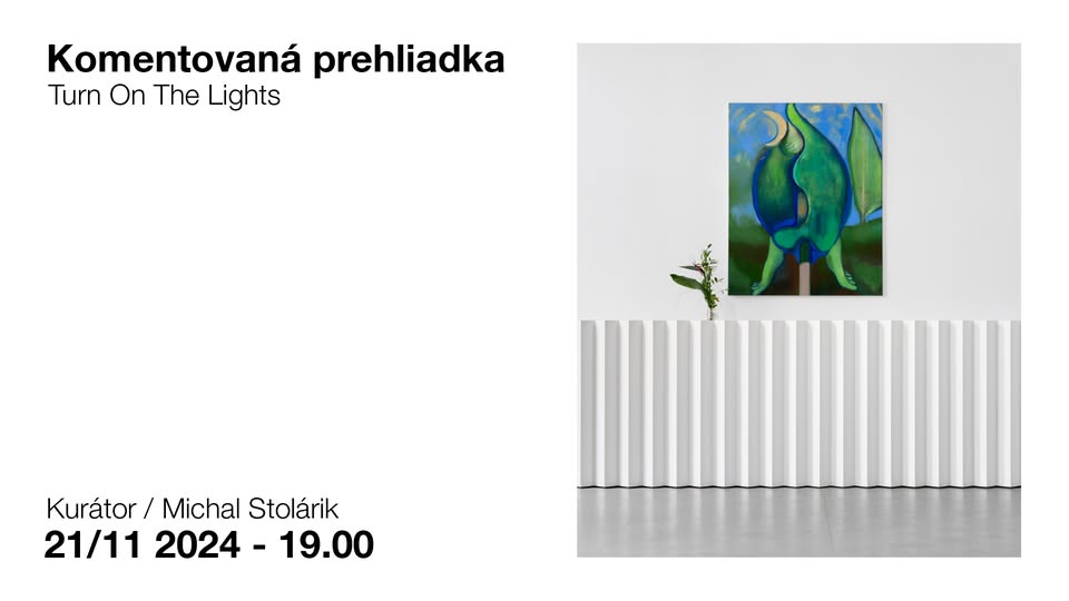 Komentovaná prehliadka / Turn On The Lights