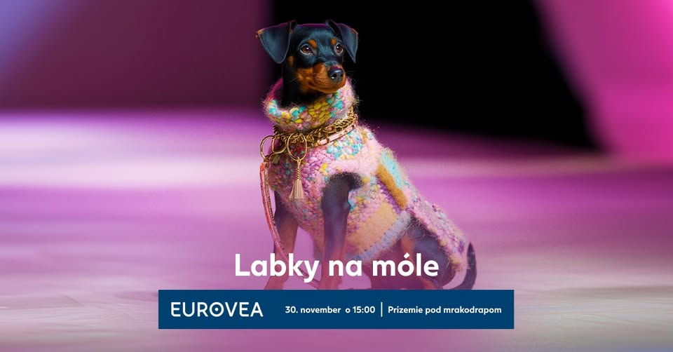 Labky na móle
